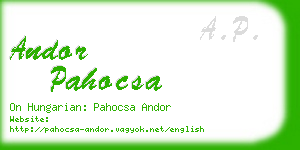 andor pahocsa business card